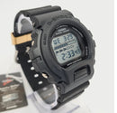 DW-6900
